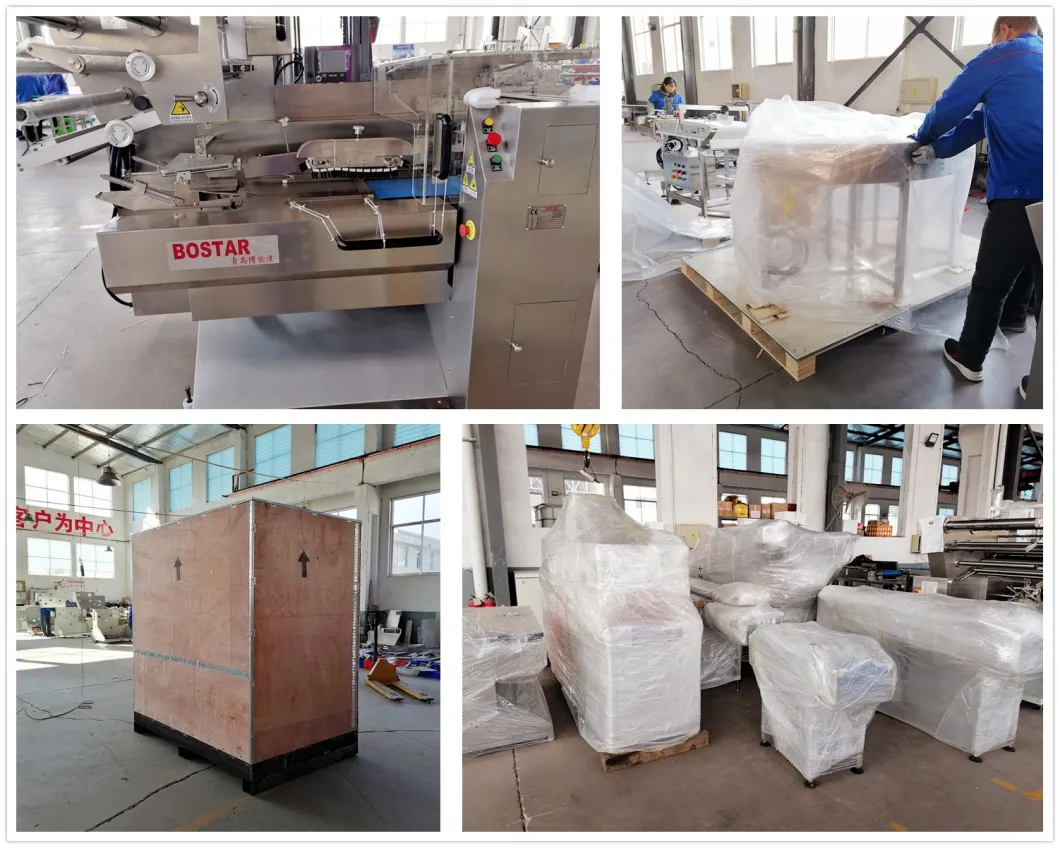 Roti Tortilla Flat Pita Bread Flatbread Frozen Pizza Base Pancake Food Reciprocating Pillow Flow Pouch Easy Setting Multi Function Packing Packaging Machinery