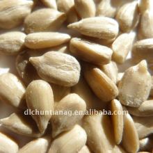 Organic sunflower kernels