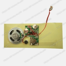 Sound Module for Greeting Cards Voice Recording Chip