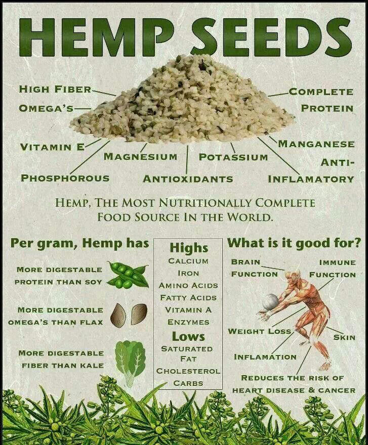 Vantaggi-di-canapa-Seeds Benefits-of-Hemp-Seeds