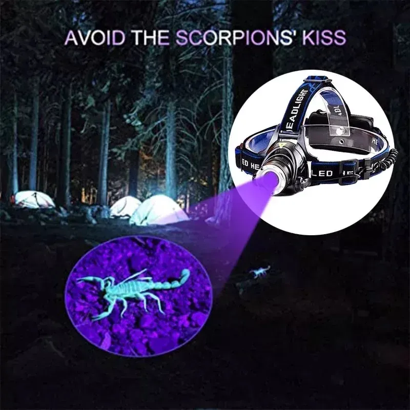 Rechargeable UV Headlamp with 395nm LED for Night Fishing and Scorpion Hunting