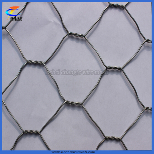 Cheap Wire Mesh for Gabion Wire Mesh