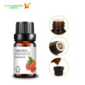 bulk grapefruit essential oil massage aromatherapy diffuser