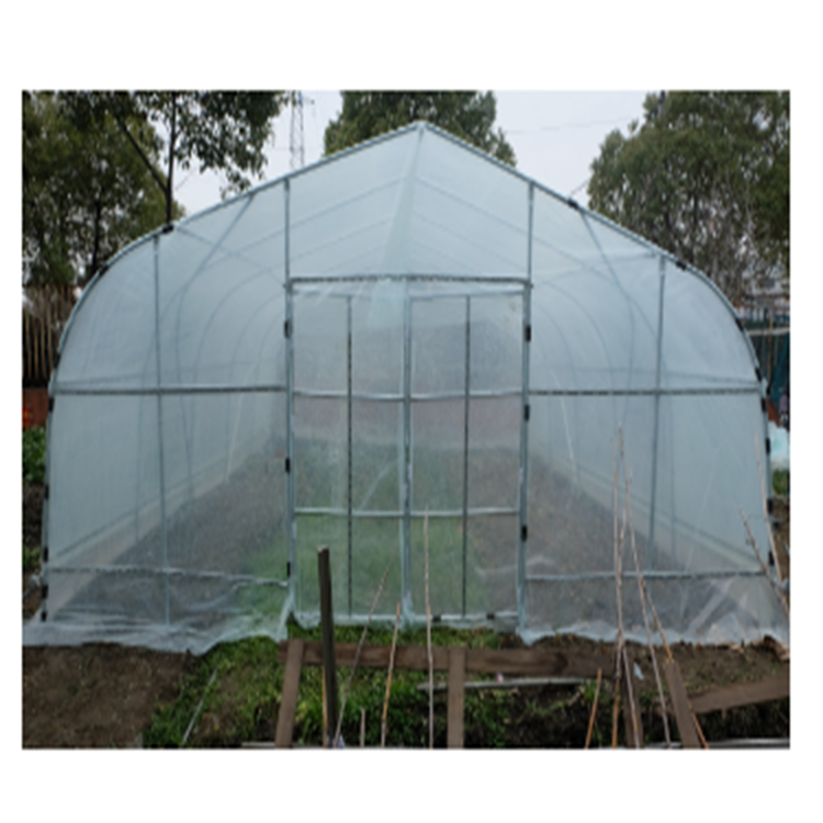 Single Span Plastic Film Greenhouse