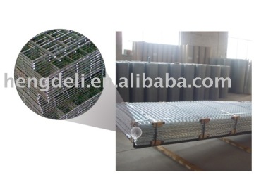 offer welded wire netting(factory)