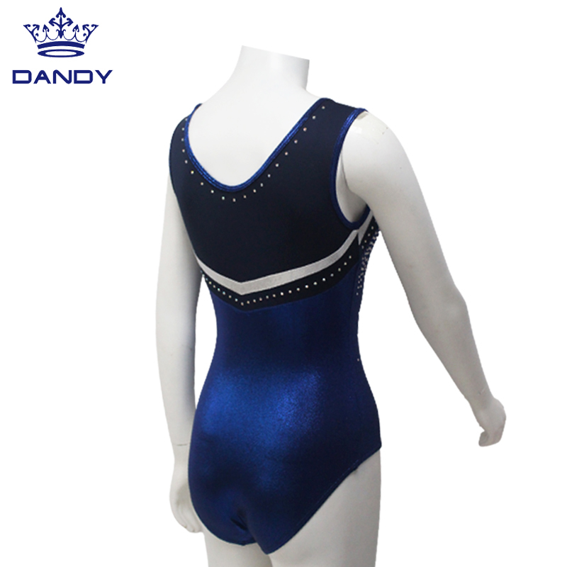 Blue Leotards 5