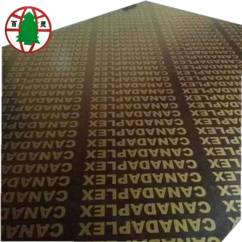 16mm Construction Plywood for Sales