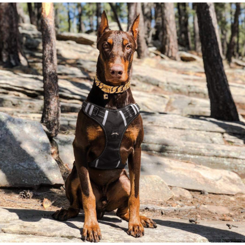 Gran arnés de perro grande