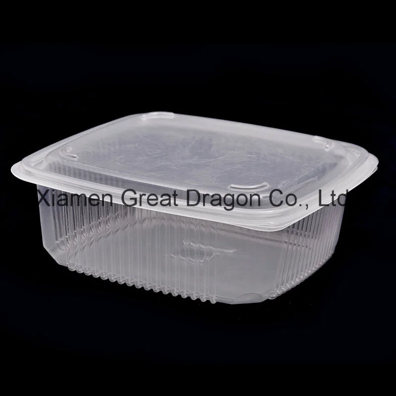 Plastic Cake Container Box