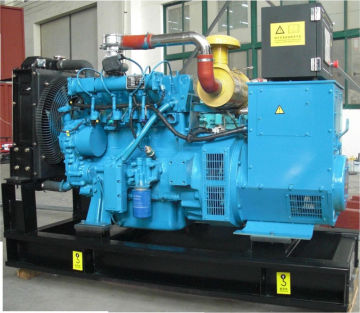 Taifa Methane gas generating set 10KW with ISO9001