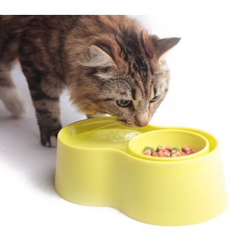 Anti-Ant Plastic Pet Bowl - Green