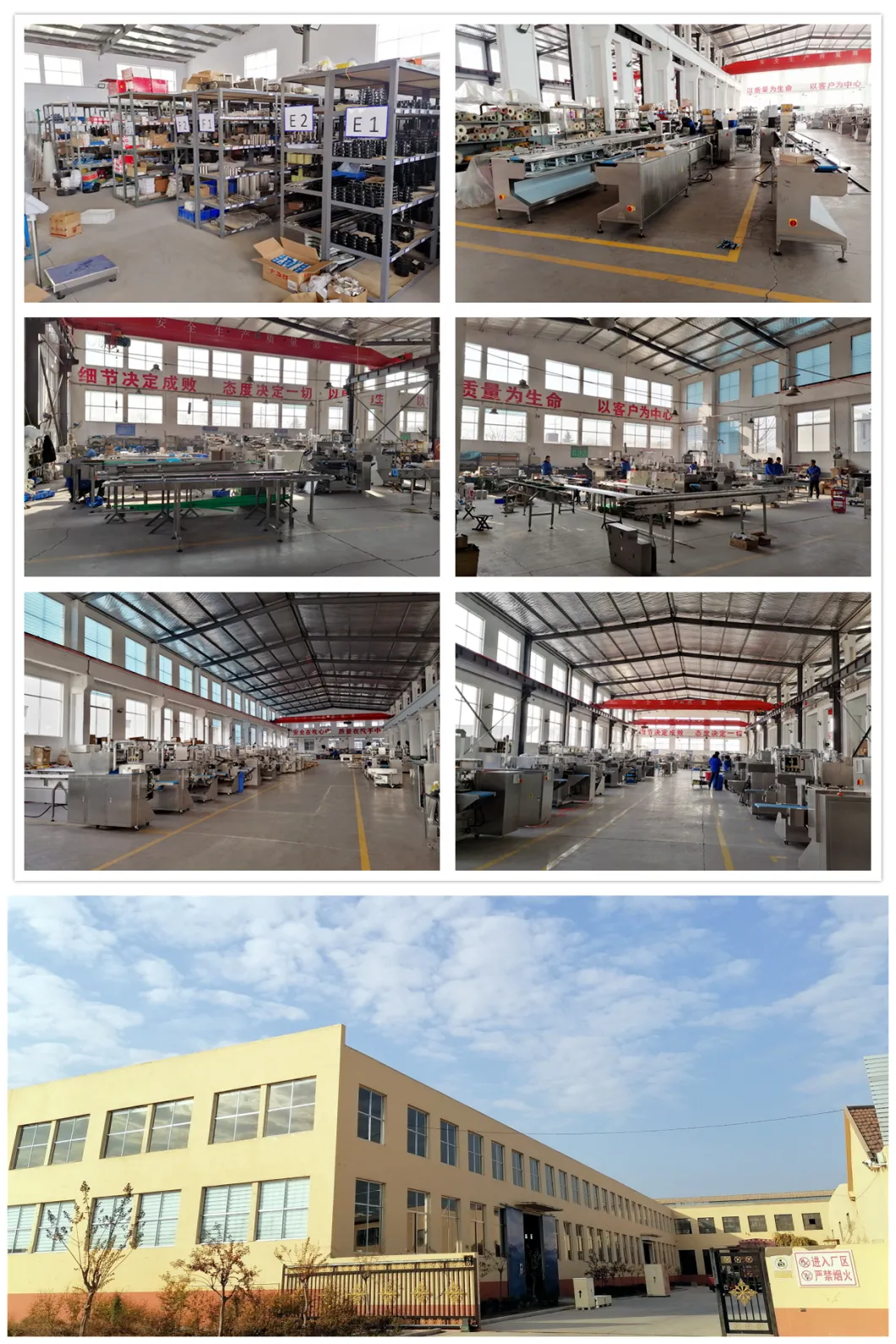Roti Tortilla Flat Pita Bread Flatbread Frozen Pizza Base Pancake Food Reciprocating Pillow Flow Pouch Easy Setting Multi Function Packing Packaging Machinery