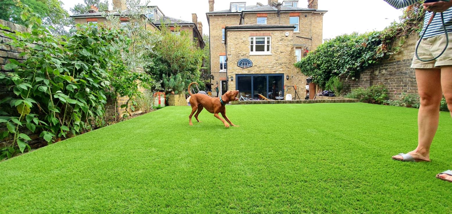 domestic artificial grass