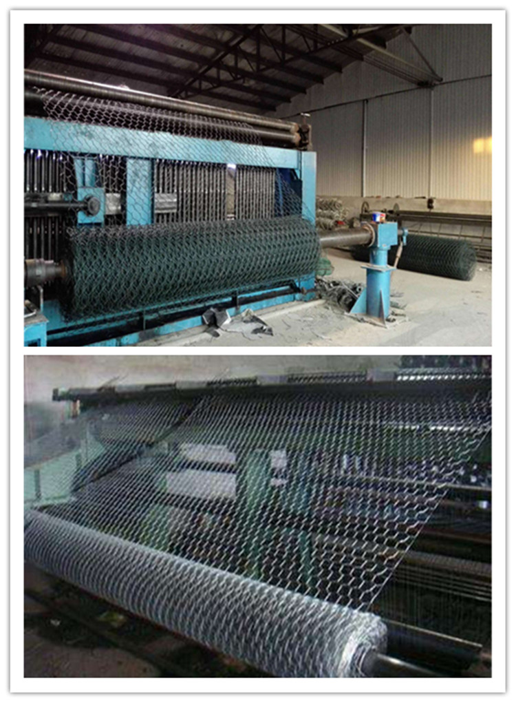 hexagonal wire mesh