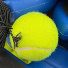 Powerful Factory Processed Personalized Tennis Balls and Trainer Support for Export