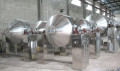 Double Cone Vacuum Dryer Machinery