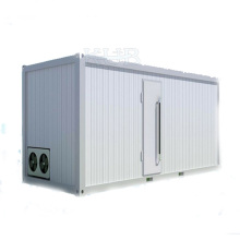 20 Feet Container Cold Room Cooling System