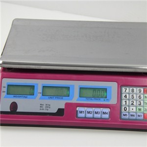 Acs Price Computing Scale TS-806