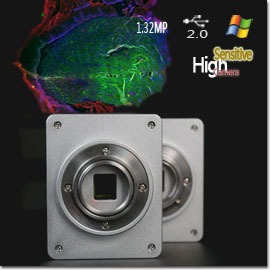 Fluorescence Microscope Camera with high sensitivity
