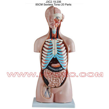 85CM Sexless Torso 20 Parts-J3C2.19.206