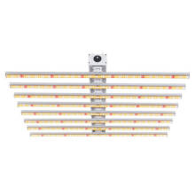 Minimal Indoor Plants Grow Light