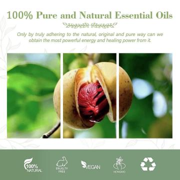 Aromaterapi Minyak Esensial Minyak Terapi Minyak Tubuh Minyak Natural Minyak Esensial