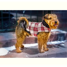 Cute Puppy and Cat Winter Fashion: Stylish Coats and Warm Clothes for Pets