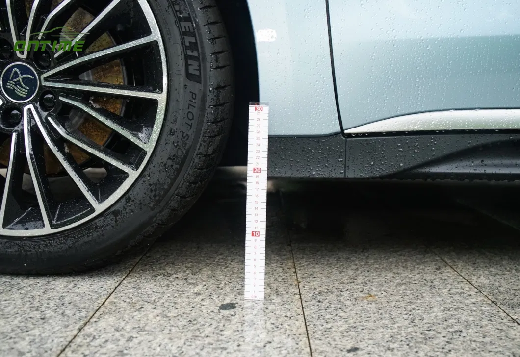 New Environmentally Friendly Car Electrico New Electric Vehicle Automotives Han EV Car
