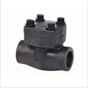 Forged Steel Check Valve