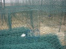 Pvc Coated Galvanized Gabion Woven By The Hexagonal Mesh Wire Mesh Gabion Basket