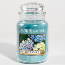 Yankee Candle Jar