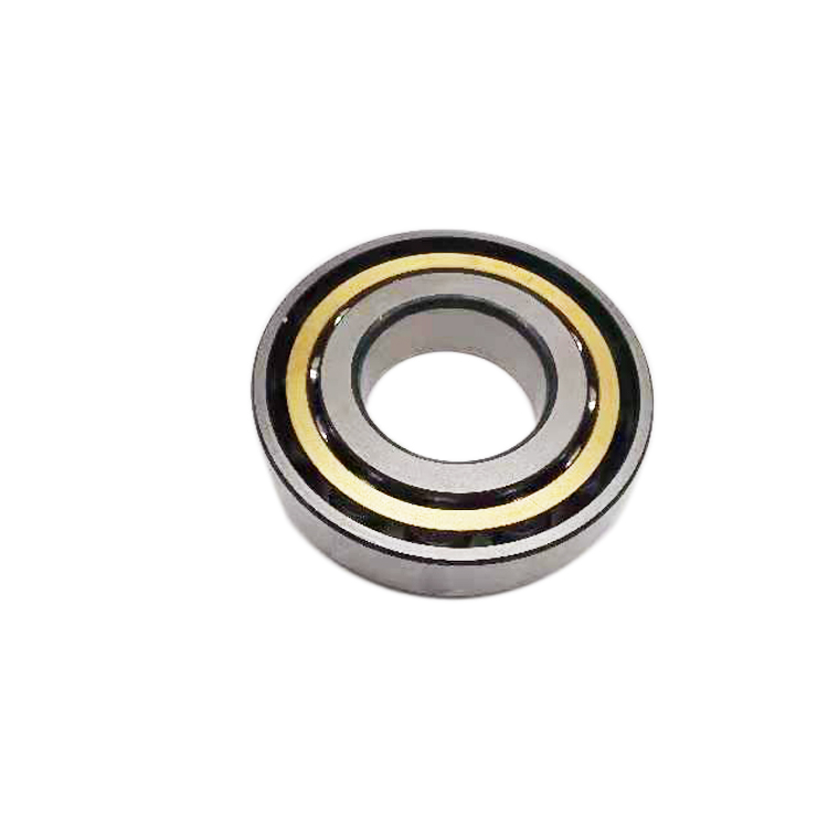 High Quality Single Row Cylindrical Roller Bearing for Motor or Pump