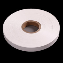 6020/6021 Polyester Mylar Film för elektrisk isolering