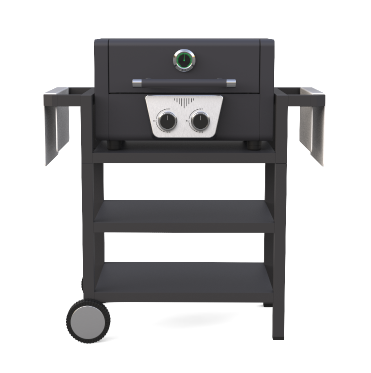 2 Burner Gas Grill BBQ مع عربة قابلة للإزالة