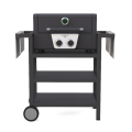 2 gas na-ere ọkụ na-ere ọkụ BBQ nke nwere trolly mbughari