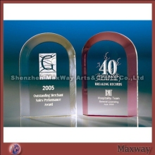 Transparent polished corporate acrylic trophy/award/present with logo