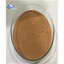 Best quality plant extract ginkgo biloba extract Powder