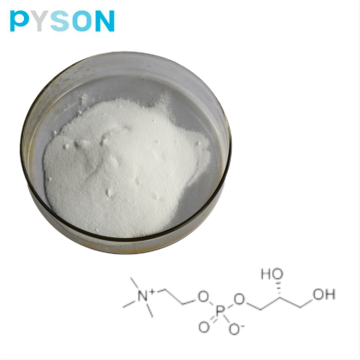 L ein Glycerylphosphorylcholin-Pulver