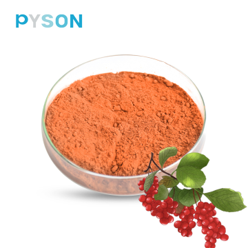 schisandra berry extract powder