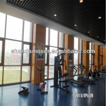 Moser thermal break system curtain wall window/window wall