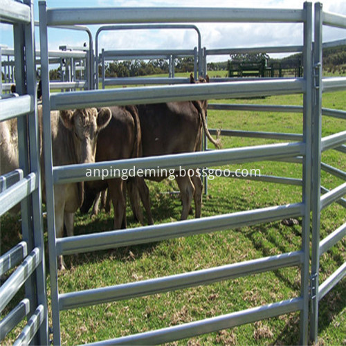 Steel Corral Fence