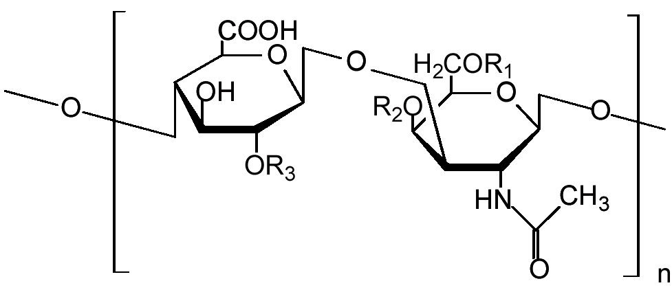 Chondroïtine_sulfate .png