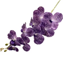 Artificial 9 Heads Vanda Flower Branch PU Real Touch Phalaenopsis Orchids Faux Flowers Long Stem