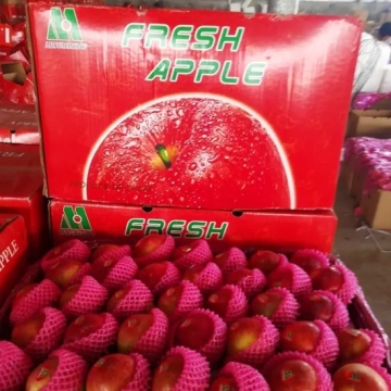 fresh royal gala west apples