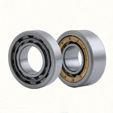 NCF 2910 V Cylindrical Roller Bearing 50x72x14 mm