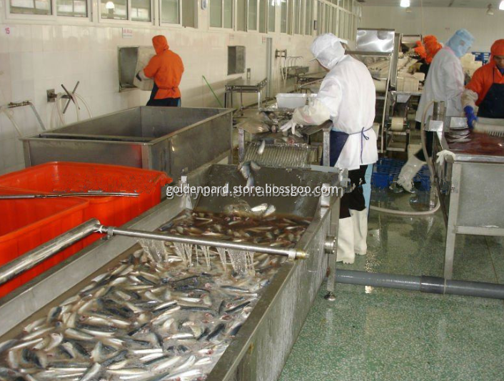 The most popular and the cheapest fish cleaning machine in canned fish processing line