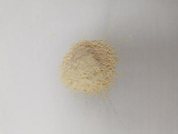 Garlic powder which packed in carton