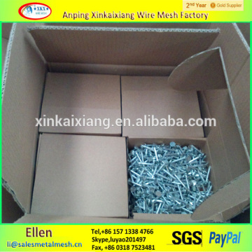 China supplier hot sale big head nails, umbrella head roofing nails, large head nails
