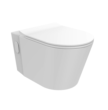 The purchase and maintenance of toilet