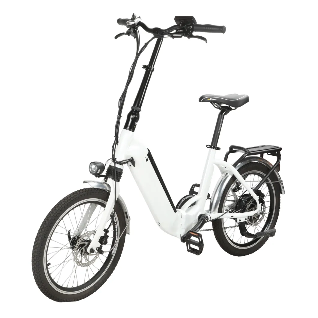 Classic Tire Folding Electric Bicycle/ Li-ion Battery for Electric Bike